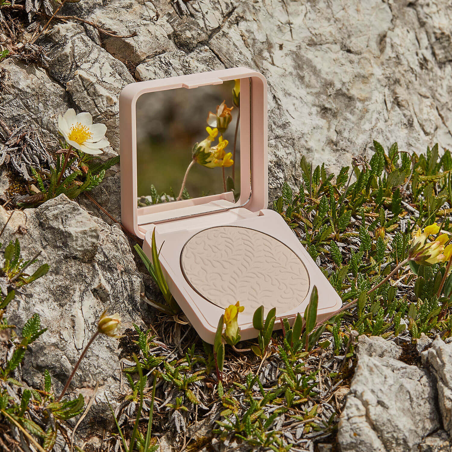 Shine Control Powder – Dolomia International